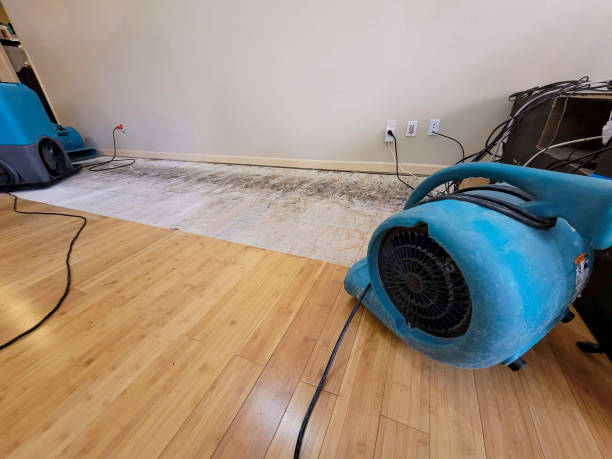 Professional Water Extraction technician working in High Bridge, NJ